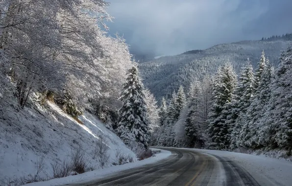 Картинка зима, дорога, лес