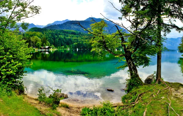 Небо, деревья, горы, озеро, Словения, bohinj