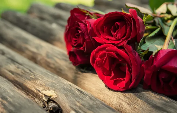 Букет, red, wood, romantic, roses, красные розы
