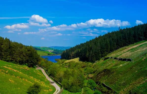 Картинка дорога, небо, облака, деревья, горы, природа, озеро
