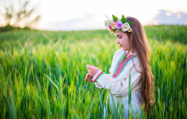 Поле, лето, свет, цветы, природа, настроение, девочка, колосья