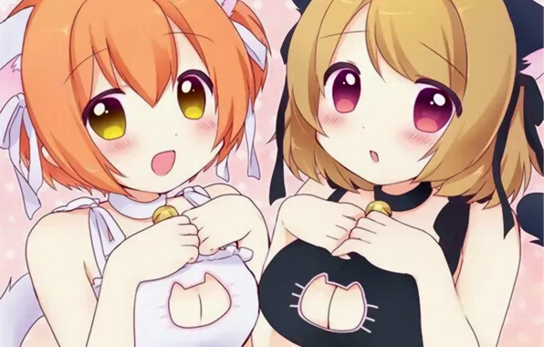 Sexy, lingerie, bra, cleavage, girls, boobs, animal ears, anime