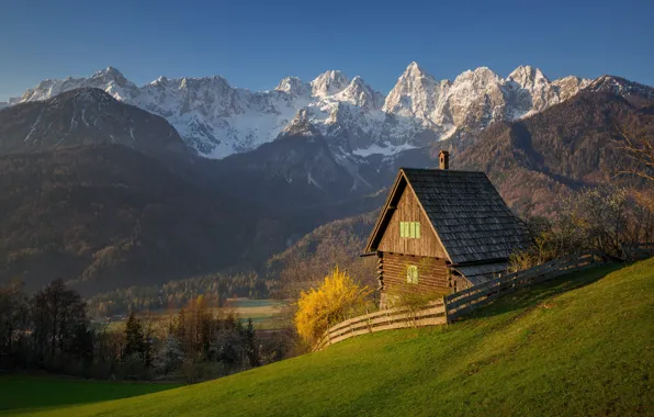 Картинка лес, деревья, горы, Весна, Альпы, домик