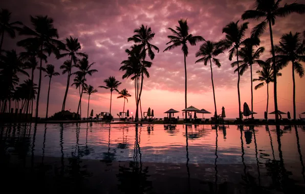 Pool, sunset, clouds, palm trees, Sri Lanka, Negombo Beach, Negombo, South Asia