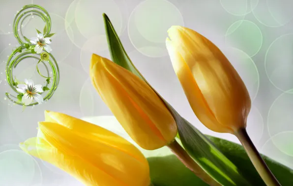 Картинка цветы, праздник, весна
