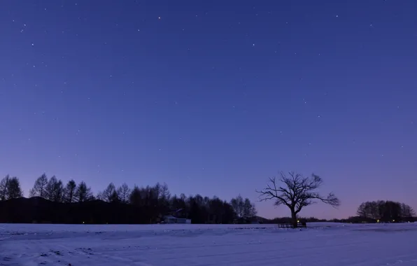 Картинка зима, поле, небо, звезды, снег, деревья, ночь, Япония