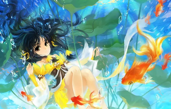 Картинка листья, девушка, рыбы, водоросли, глубина, арт, huazha01