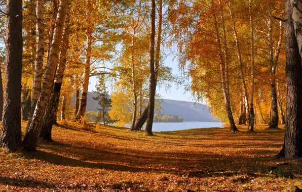 Картинка осень, листья, деревья, горы, озеро, Природа