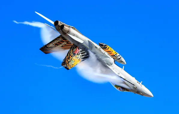 Картинка Истребитель, ВВС Швейцарии, Эффект Прандтля — Глоерта, F/A-18 Hornet, ПТБ