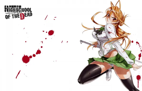 Картинка highschool of the dead, hotd, miyamoto rei