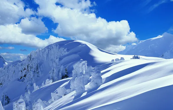 Картинка зима, облака, снег, деревья, горы, сугроб