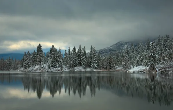 Зима, лес, снег, деревья, горы, озеро, отражение, ель