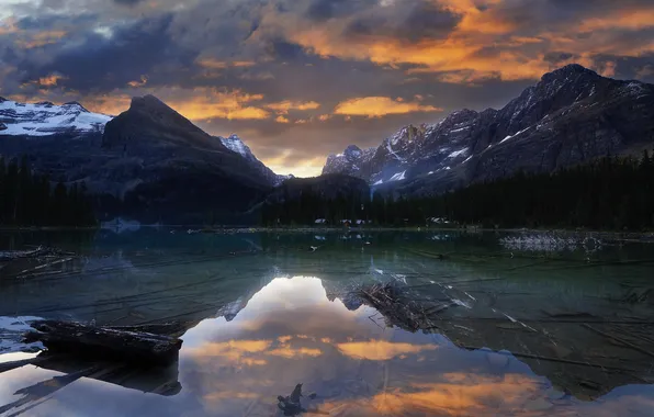 Картинка лес, пейзаж, горы, природа, озеро, Канада