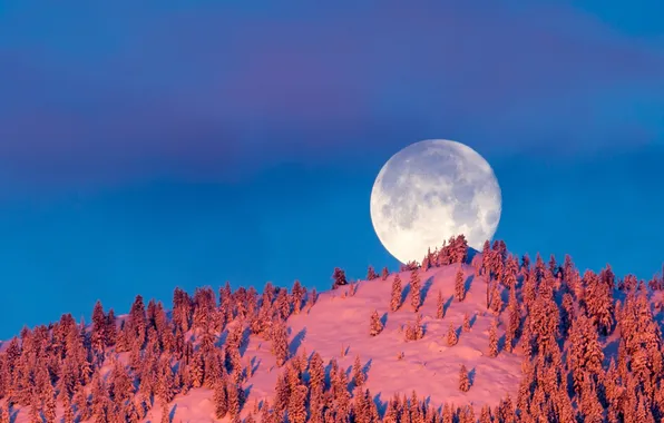 Картинка зима, небо, луна