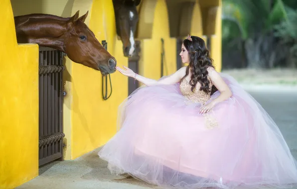 Девушка, настроение, конь, лошадь, платье, невеста