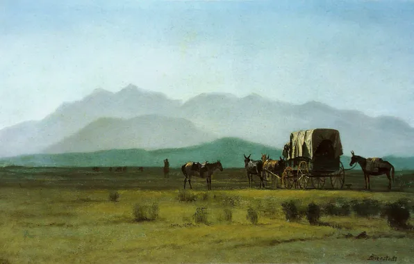 Картина, живопись, painting, Albert Bierstadt, Surveyors wagon in the rockies