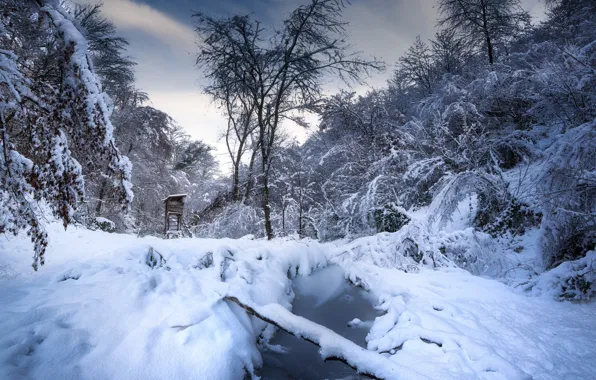 Картинка зима, лес, снег, вышка