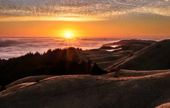 Картинка небо, природа, California Sunset