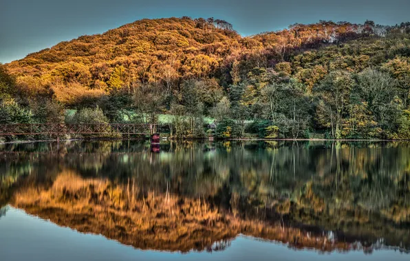 Картинка осень, лес, мост, озеро, отражение, холмы, Англия, England