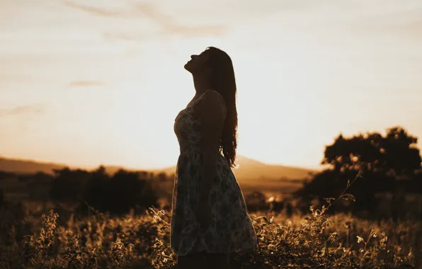 Girl, Tree, Peaceful, Woman, Field, Dress, Lucky, Sun Goes Down