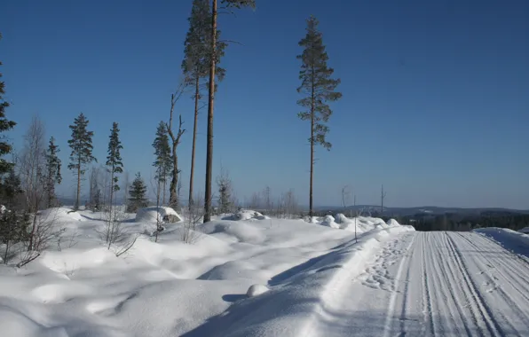 Зима, дорога, снег, деревья, природа, утро, мороз, Nature