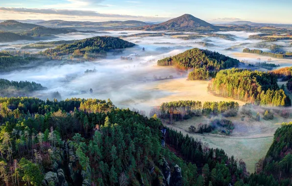 Лес, небо, горы, туман, утро, Чехия, czech republic, bohemian switzerland national park