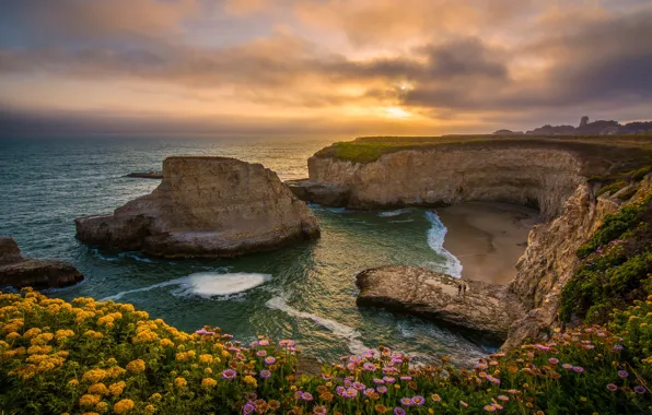 Картинка закат, цветы, скалы, побережье, бухта, Калифорния, Pacific Ocean, California