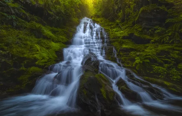 Лес, водопад, каскад, Washington State, Штат Вашингтон, Staircase Falls