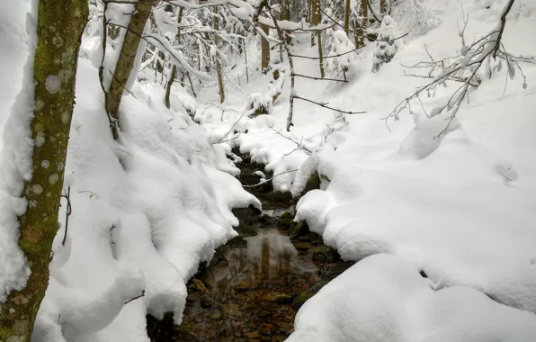 Картинка зима, снег, деревья, ветки, ручей, сугробы