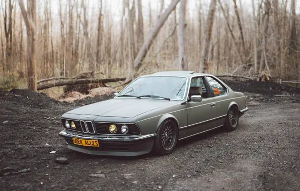 Картинка BMW, E24, 635