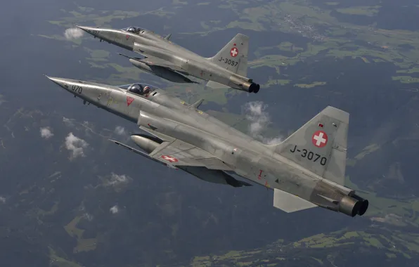 Многоцелевой истребитель, лёгкий, F-5E Tiger II
