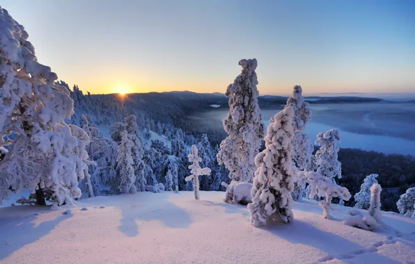 Картинка зима, снег, деревья, пейзаж, Рука, панорама, Финляндия, Finland