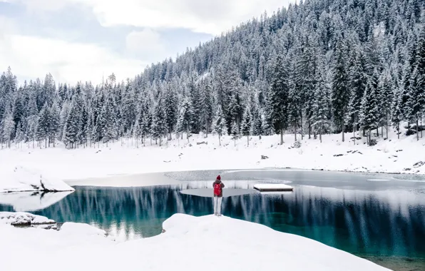 Картинка холод, зима, лес, снег, озеро, Швейцария, Switzerland