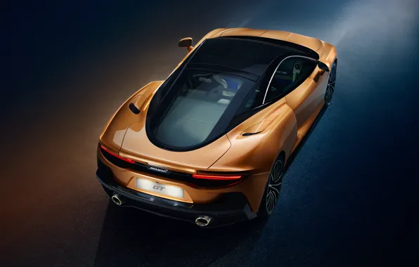 McLaren, суперкар, вид сзади, 2019, McLaren GT
