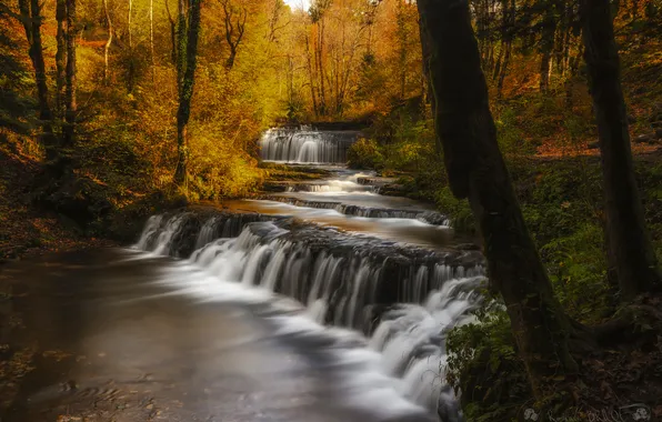 Картинка осень, листья, деревья, водопад, поток, осенние краски