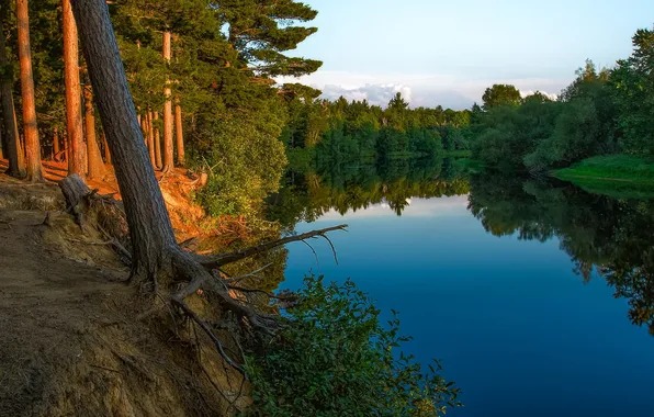 Лес, деревья, природа, река