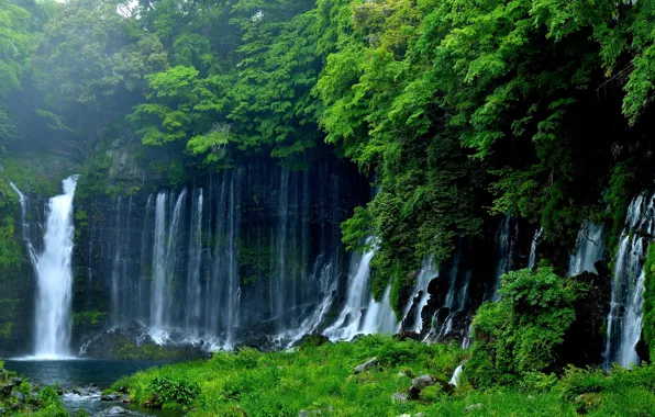 Зелень, деревья, природа, япония, водопад, Fujinomiya, Lake Tanuki