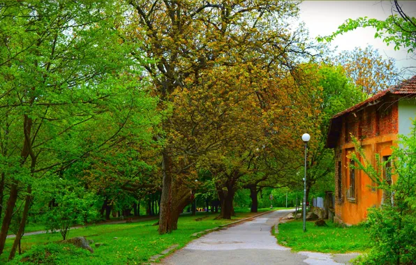 Картинка Зелень, Весна, Деревья, Парк, Дорожка, Green, Park, Spring