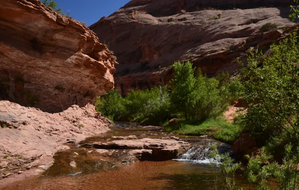 Summer, canyon, Utah, country's best cool