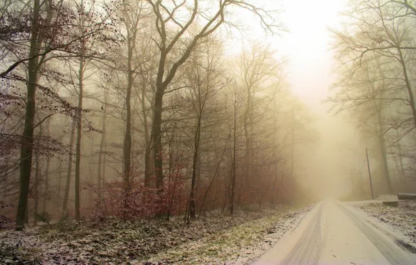 Картинка иней, дорога, лес, снег, деревья, следы, Зима