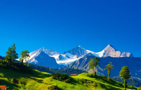 Картинка зелень, трава, деревья, пейзаж, горы, природа, холмы, Швейцария