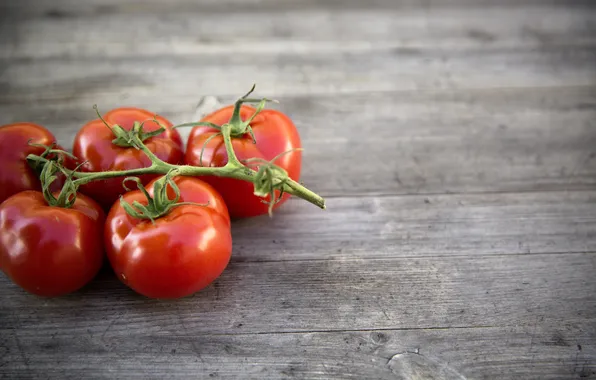 Картинка кисть, помидоры, photo, photographer, tomato, markus spiske