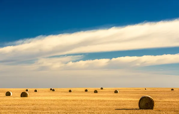 Поле, небо, облака, забор, горизонт, sky, field, clouds