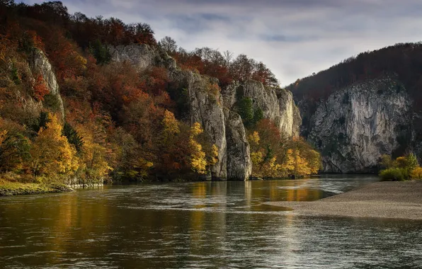 Картинка лес, осень, скалы, река, Kelheim, деревья, Германия, Бавария