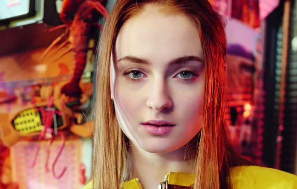 Картинка взгляд, девушка, лицо, Sophie Turner