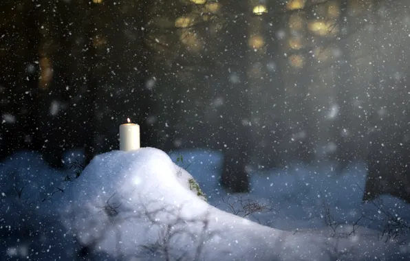 Картинка лес, снег, свеча