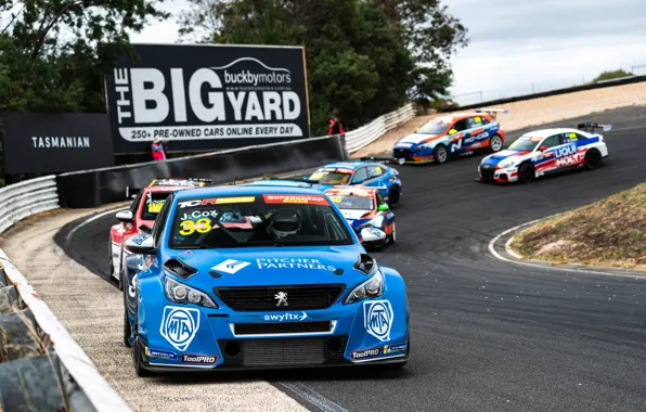 Пежо, Peugeot, Гонки, Racing, Touring, Туринг, TCR, TCR Australia