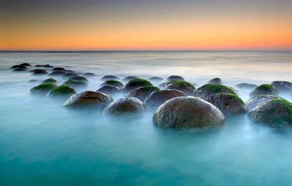 Картинка море, небо, водоросли, закат, камни, шар, Калифорния, США
