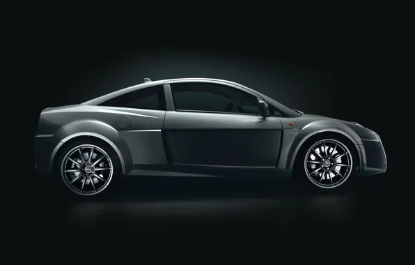 Concept, 2006, концепт-кар, Prodrive, Prodrive P2 Concept