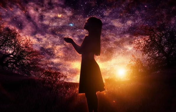 Girl, fantasy, sky, digital, sunset, art, stars, butterflies